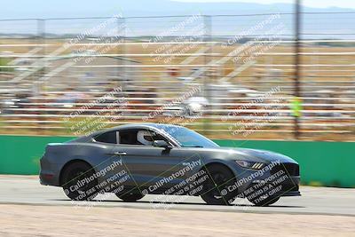 media/May-13-2023-Cobra Club (Sat) [[050fabdf37]]/Passengers/Afternoon Session Front Straight/
